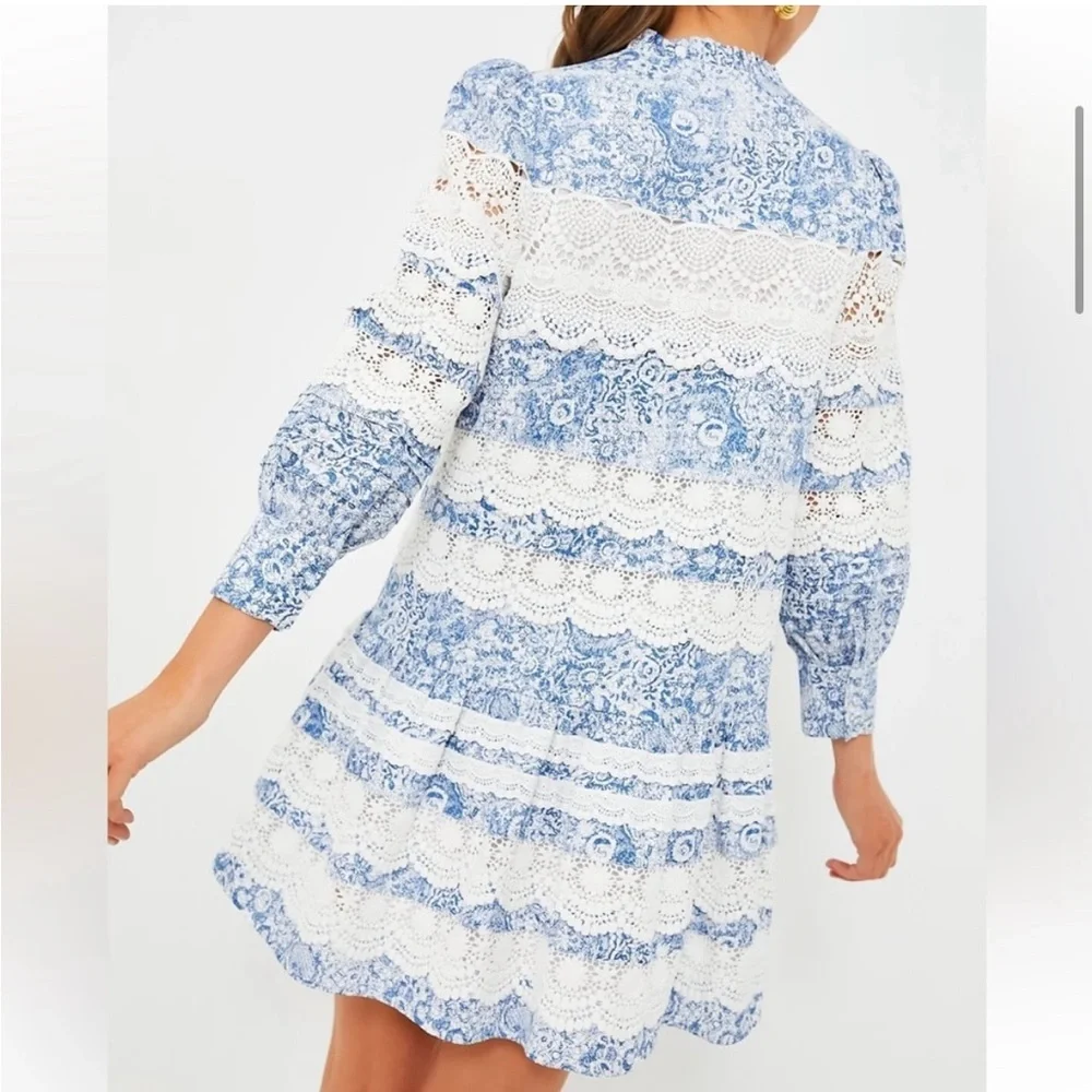 🤍HYACINTH HOUSE Lace Trim Blue Etched
Floral Emmie Mini Dress🩵 - Picture 8 of 11